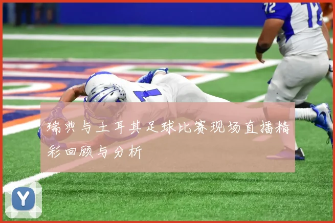 瑞典与土耳其足球比赛现场直播精彩回顾与分析