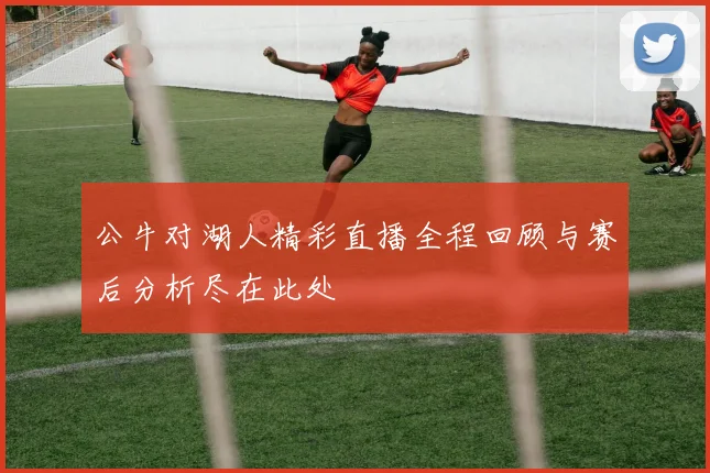 公牛对湖人精彩直播全程回顾与赛后分析尽在此处