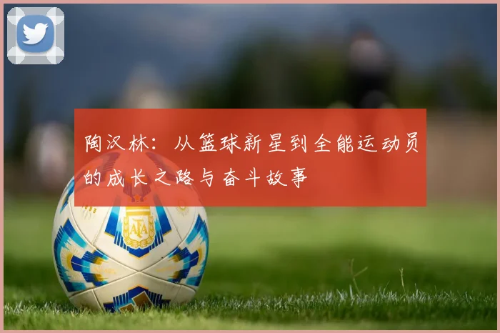 陶汉林：从篮球新星到全能运动员的成长之路与奋斗故事