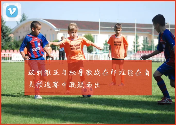 玻利维亚与秘鲁激战在即谁能在南美预选赛中脱颖而出