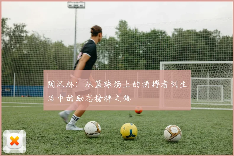 陶汉林：从篮球场上的拼搏者到生活中的励志榜样之路