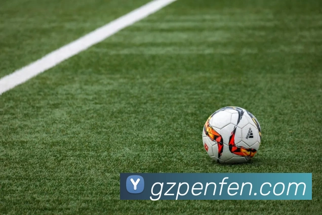 博鱼体育APP 封面图